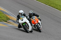 PJ-Motorsport-2019;anglesey-no-limits-trackday;anglesey-photographs;anglesey-trackday-photographs;enduro-digital-images;event-digital-images;eventdigitalimages;no-limits-trackdays;peter-wileman-photography;racing-digital-images;trac-mon;trackday-digital-images;trackday-photos;ty-croes